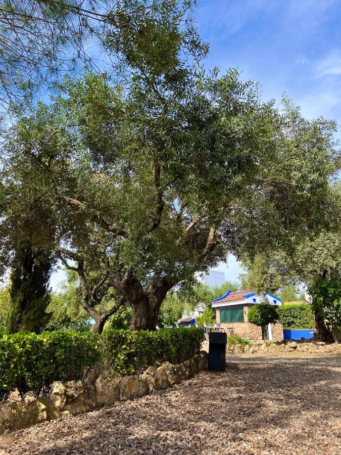 Complejo Rural Mirador De La Alcaidia Villa Hornachuelos Kültér fotó