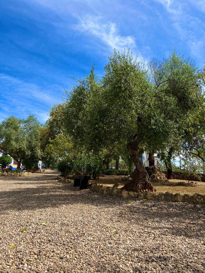 Complejo Rural Mirador De La Alcaidia Villa Hornachuelos Kültér fotó