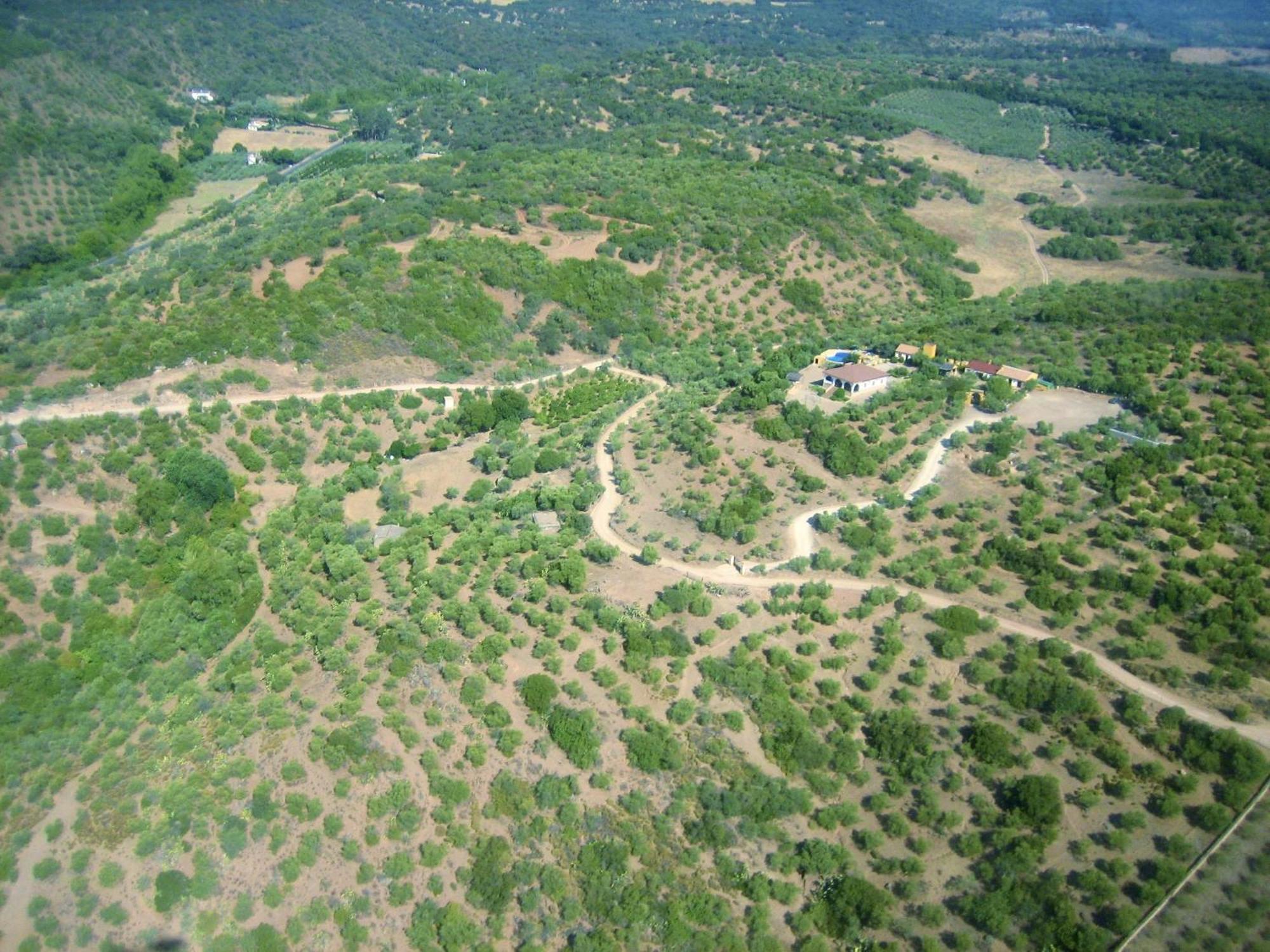 Complejo Rural Mirador De La Alcaidia Villa Hornachuelos Kültér fotó